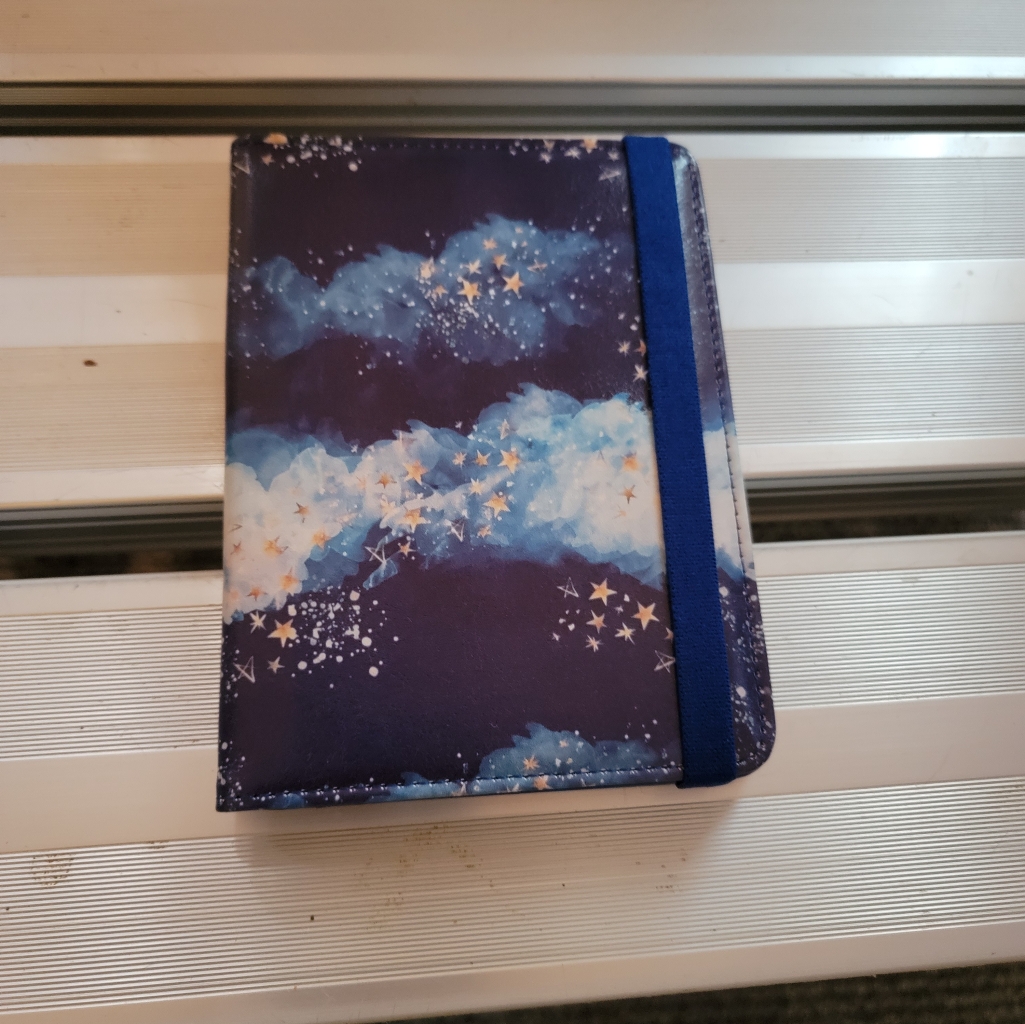 PassportVaccine Card Holder